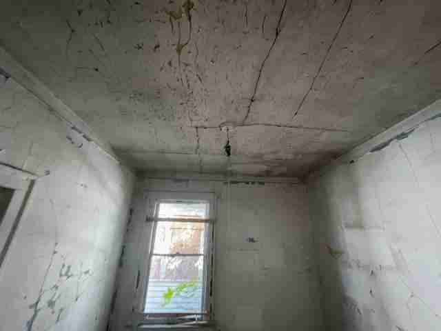 17257 bloom (26).jpg